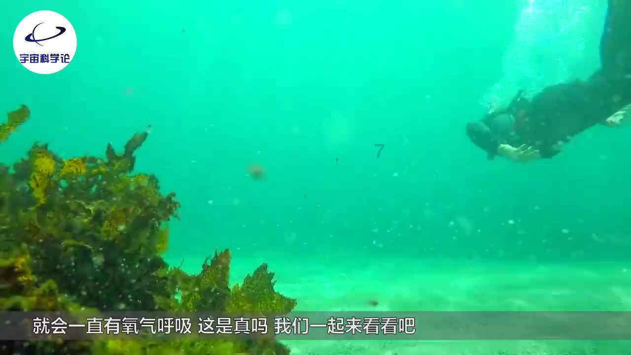 “文旅康养”如何出圈出彩？山西省人大代表：产业深度融合