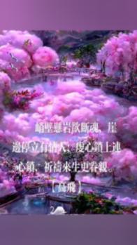 杀手5